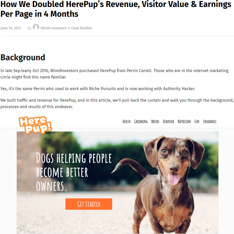 How We Doubled HerePup’s Revenue, Visitor Value & Earnings Per Page in 4 Months